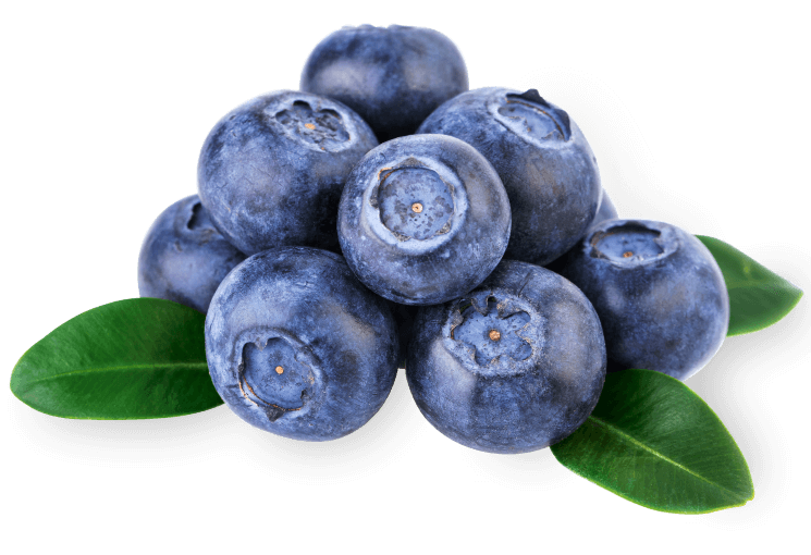 Blueberries