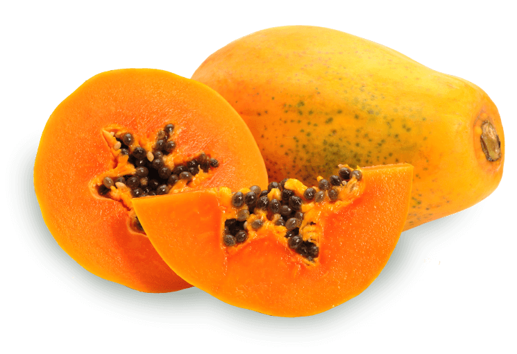 Papaya
